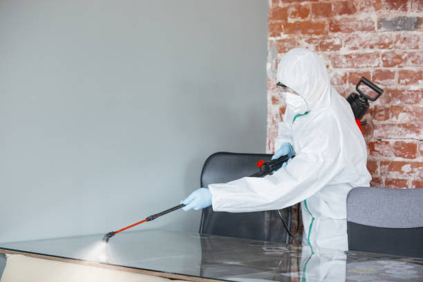 Why You Should Choose Our Mold Remediation Services in Maysville, MO